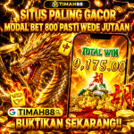 TIMAH88 situs paling gacor modal bet 800 pasti cuan besar